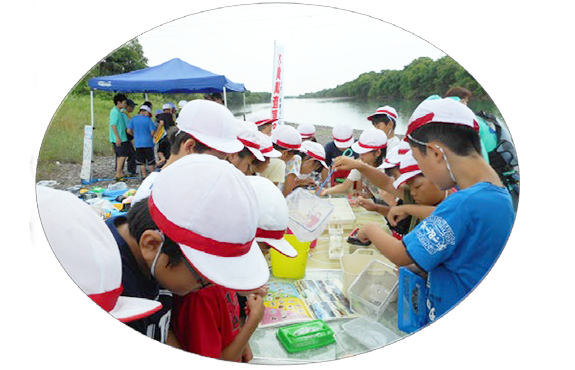 瑞穂市立南小学校4年生と野外教育活動（水生生物調査）